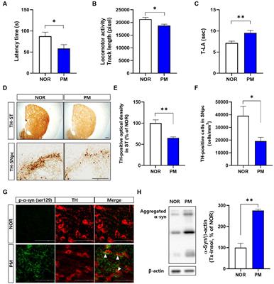 Peripheral metabolic alterations associated with pathological manifestations of Parkinson’s disease in gut-brain axis-based mouse model